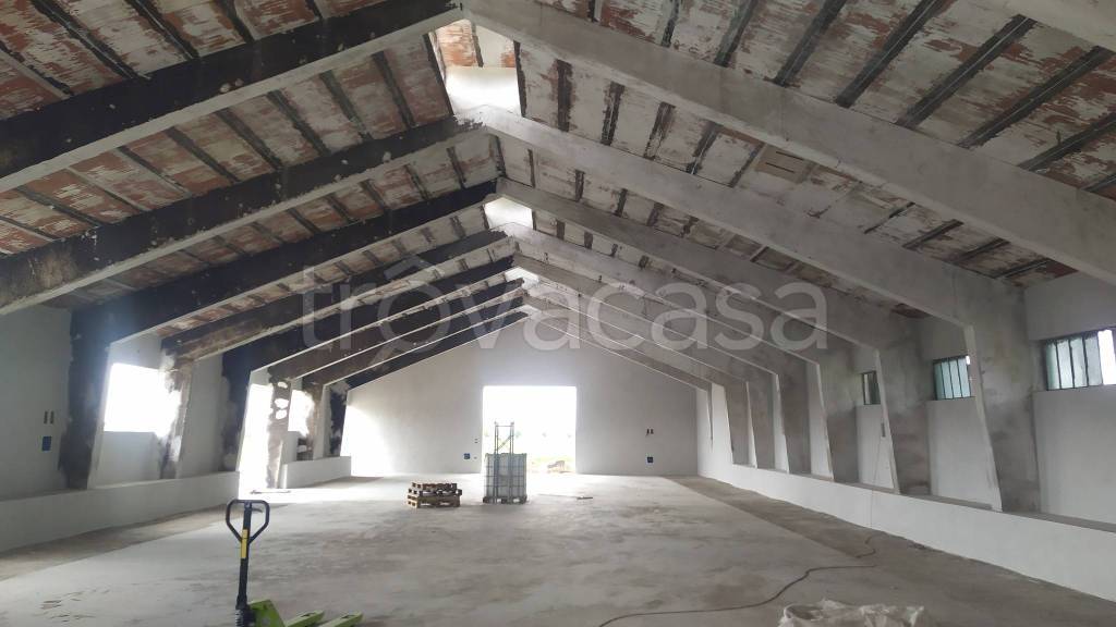 locale commerciale in affitto a Pozzoleone