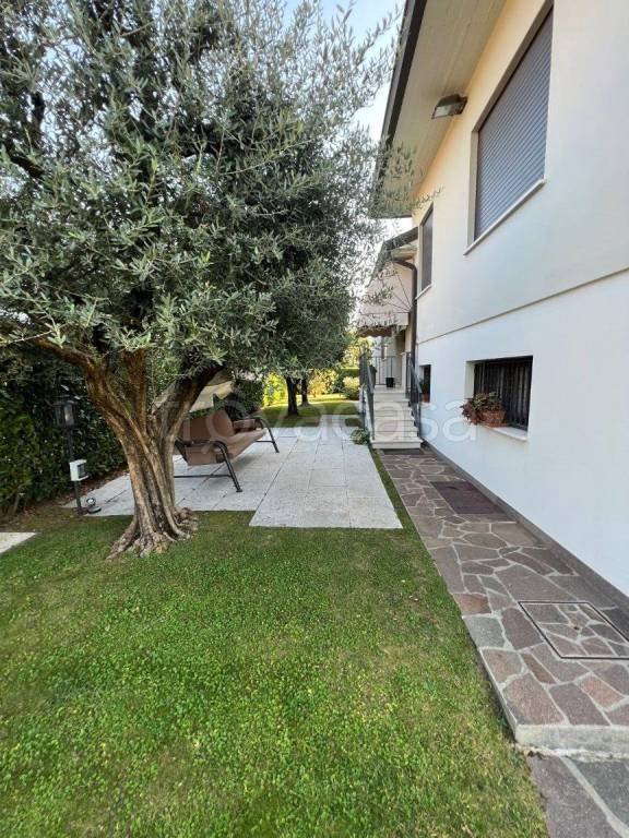 casa indipendente in affitto a Rosà
