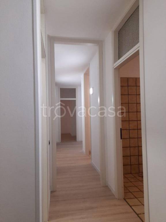 appartamento in affitto a Rosà