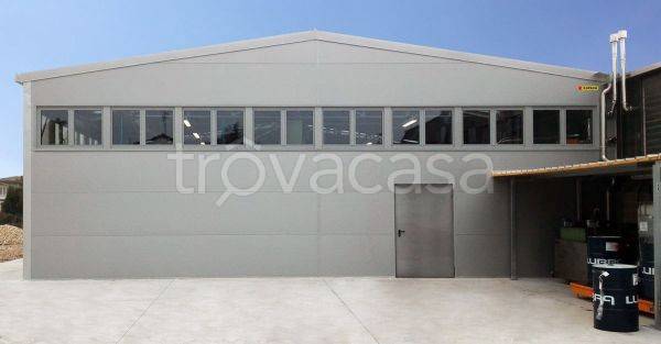 locale commerciale in affitto a Tezze sul Brenta in zona Belvedere