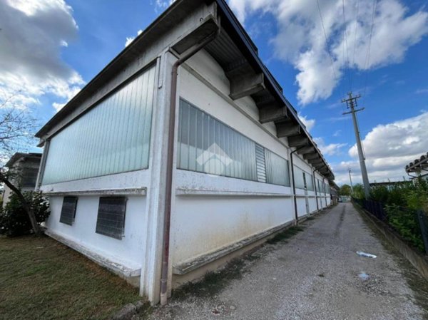 locale commerciale in affitto a Tezze sul Brenta in zona Belvedere