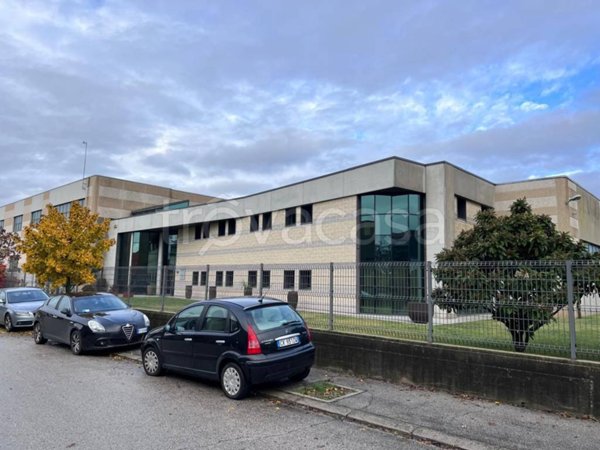 capannone in affitto a Tezze sul Brenta in zona Tezze
