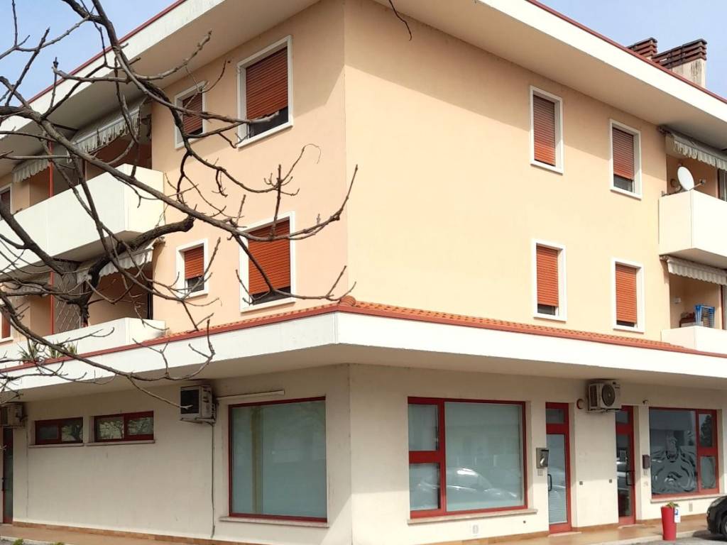 negozio in affitto a Torri di Quartesolo in zona Marola