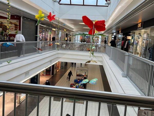 negozio in affitto a Torri di Quartesolo