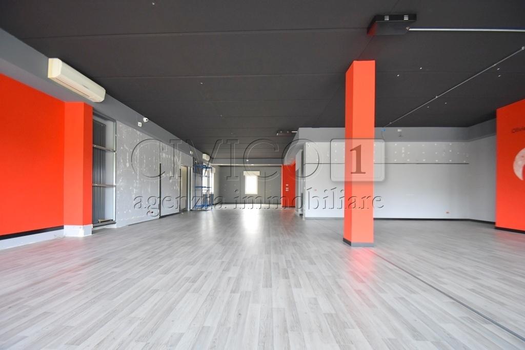 esavano in affitto a Torri di Quartesolo