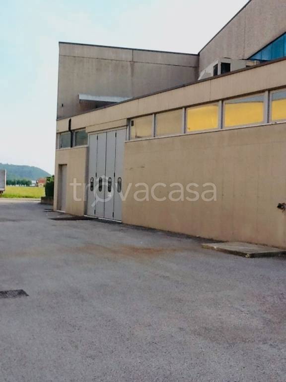 negozio in affitto a Trissino