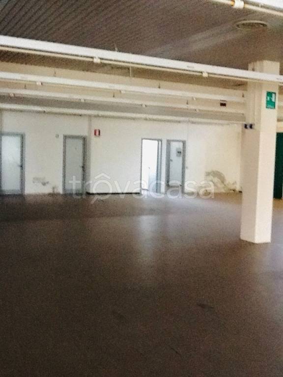 negozio in affitto a Trissino