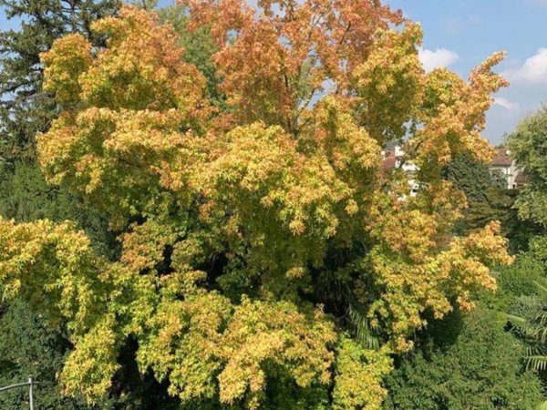 appartamento in affitto a Vicenza in zona Centro Storico