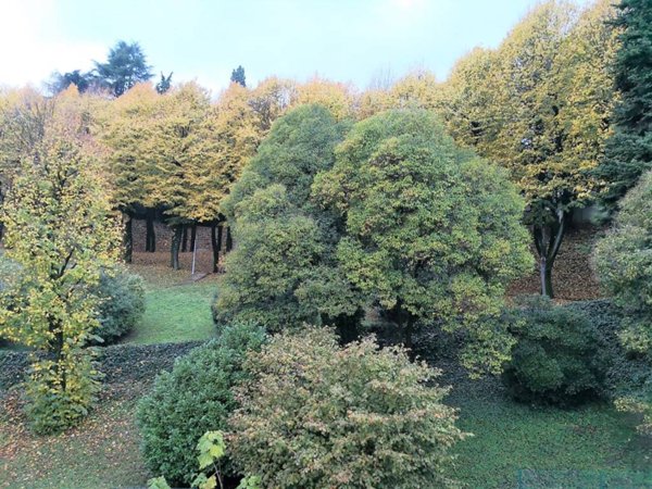 appartamento in affitto a Vicenza in zona Borgo Berga