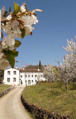 appartamento in affitto a Colceresa