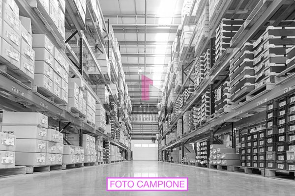 capannone in affitto a Colceresa