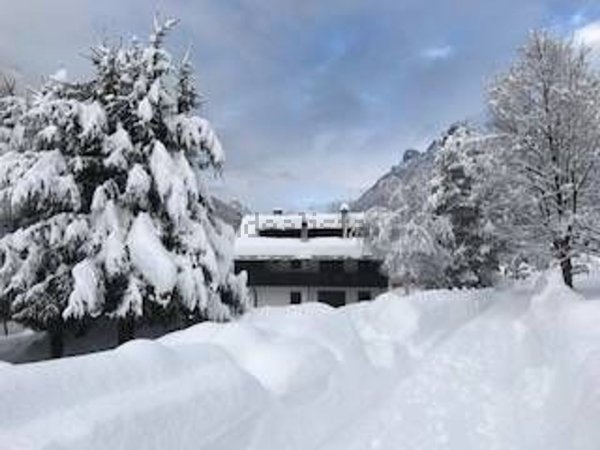 appartamento in affitto ad Auronzo di Cadore