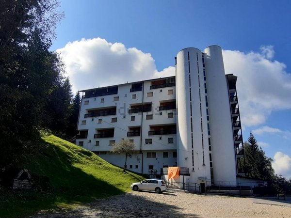 appartamento in affitto a Belluno