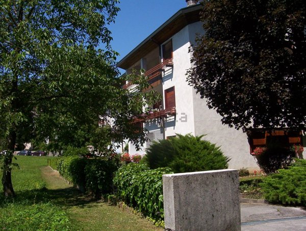 appartamento in affitto a Belluno