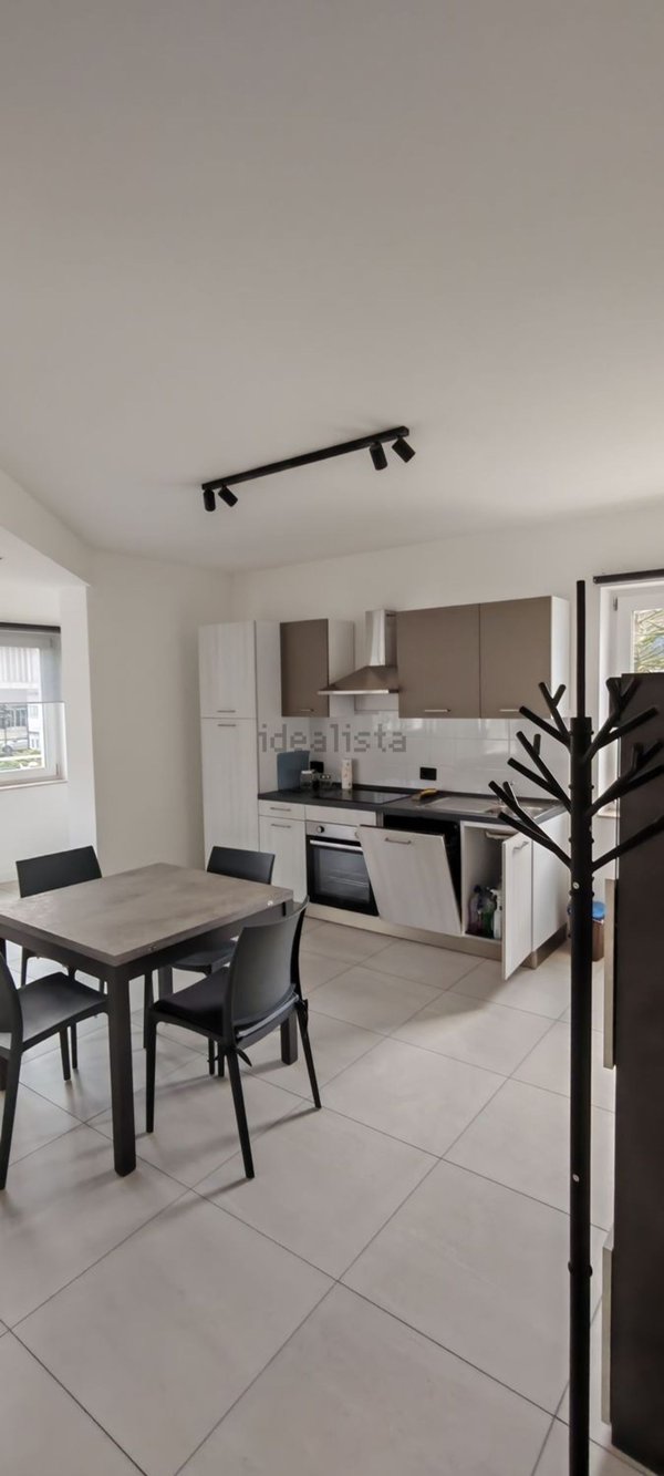 appartamento in affitto a Belluno