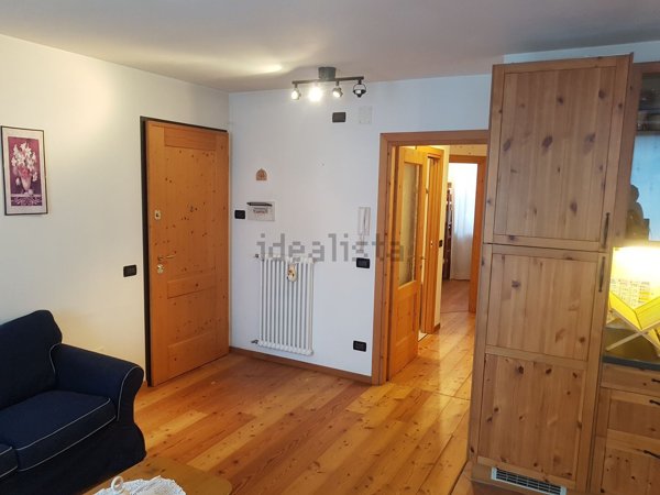 appartamento in affitto a Borca di Cadore