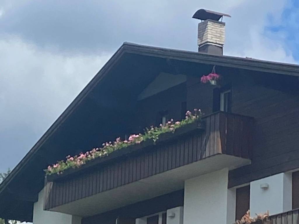 appartamento in affitto a Cortina d'Ampezzo