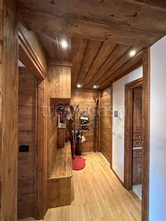 appartamento in affitto a Cortina d'Ampezzo in zona Cianderìes