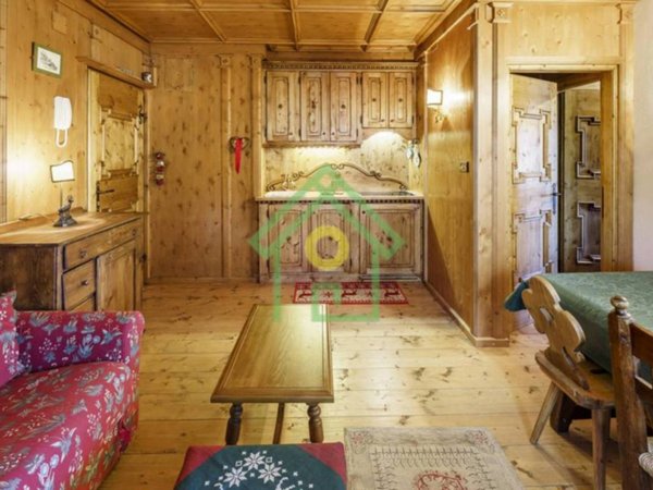 appartamento in affitto a Cortina d'Ampezzo in zona Pocol