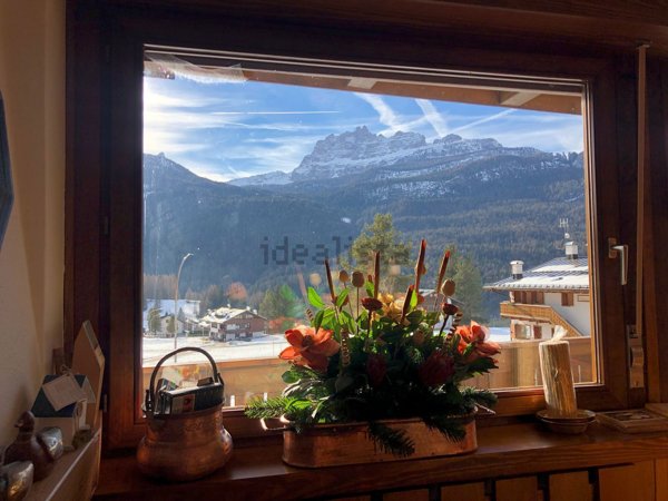 pentavano in affitto a Cortina d'Ampezzo in zona Pezié
