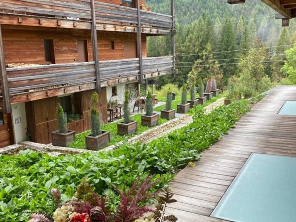 appartamento in affitto a Cortina d'Ampezzo