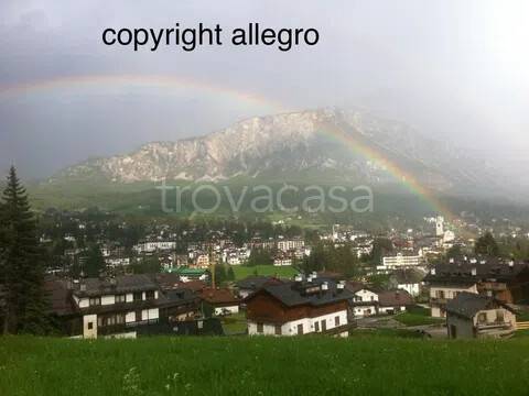 appartamento in affitto a Cortina d'Ampezzo