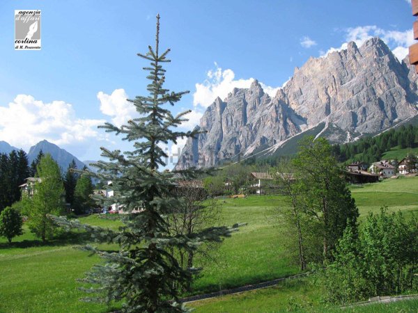 appartamento in affitto a Cortina d'Ampezzo