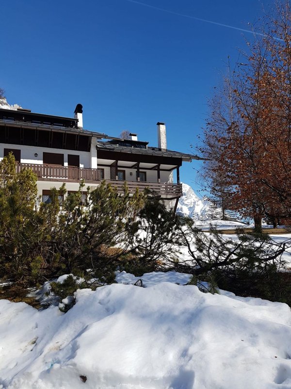 appartamento in affitto a Cortina d'Ampezzo