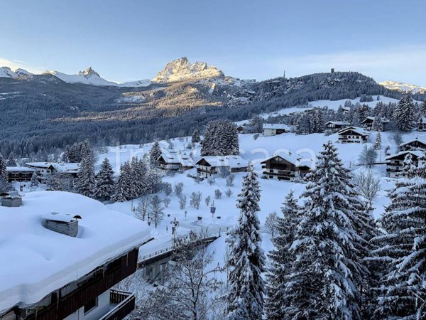 appartamento in affitto a Cortina d'Ampezzo