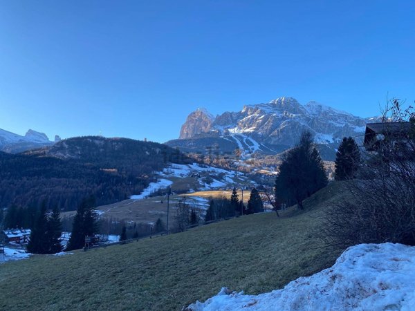 appartamento in affitto a Cortina d'Ampezzo in zona Campo