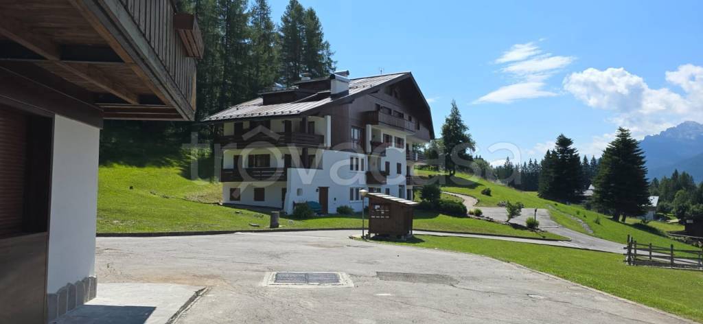 appartamento in affitto a Cortina d'Ampezzo in zona Grava