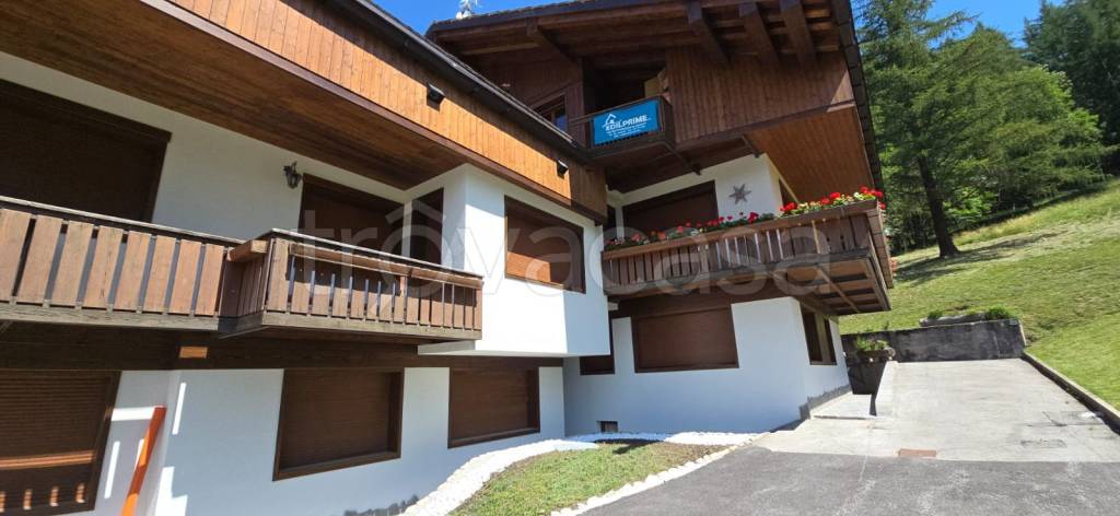 appartamento in affitto a Cortina d'Ampezzo in zona Grava