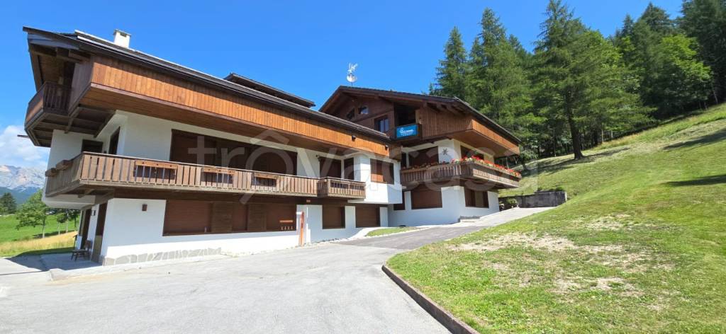 appartamento in affitto a Cortina d'Ampezzo in zona Grava