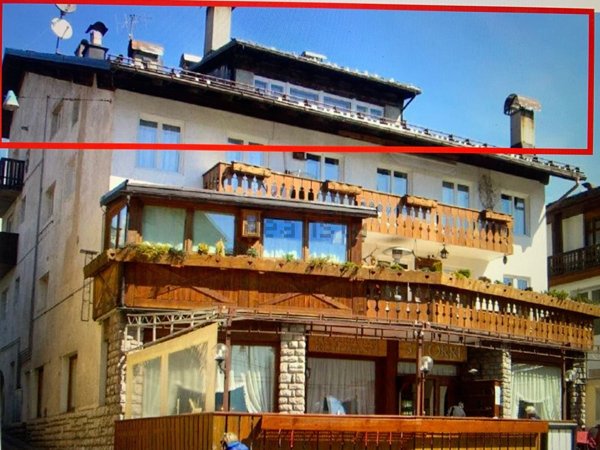 appartamento in affitto a Cortina d'Ampezzo