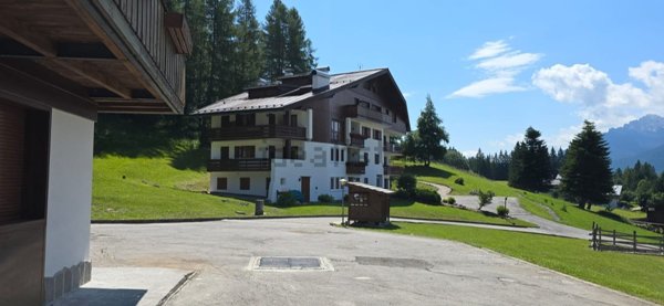 appartamento in affitto a Cortina d'Ampezzo in zona Grava
