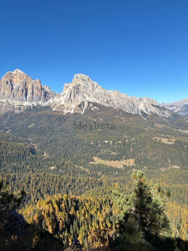 appartamento in affitto a Cortina d'Ampezzo in zona Alverà