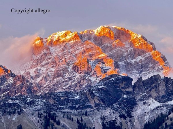 appartamento in affitto a Cortina d'Ampezzo in zona Acquabona