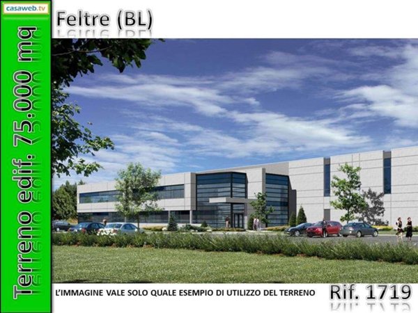 appartamento in affitto a Feltre