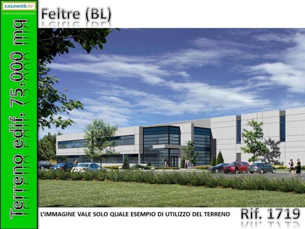 appartamento in affitto a Feltre