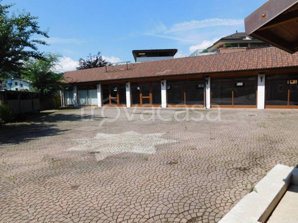 negozio in affitto a Feltre
