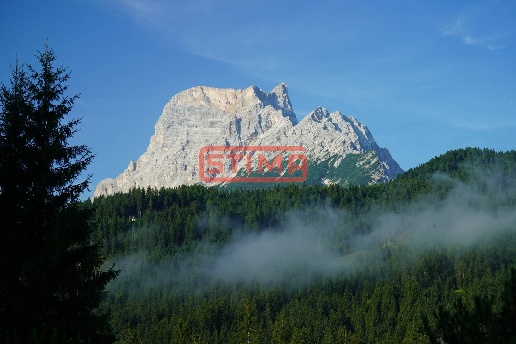 appartamento in affitto a San Vito di Cadore