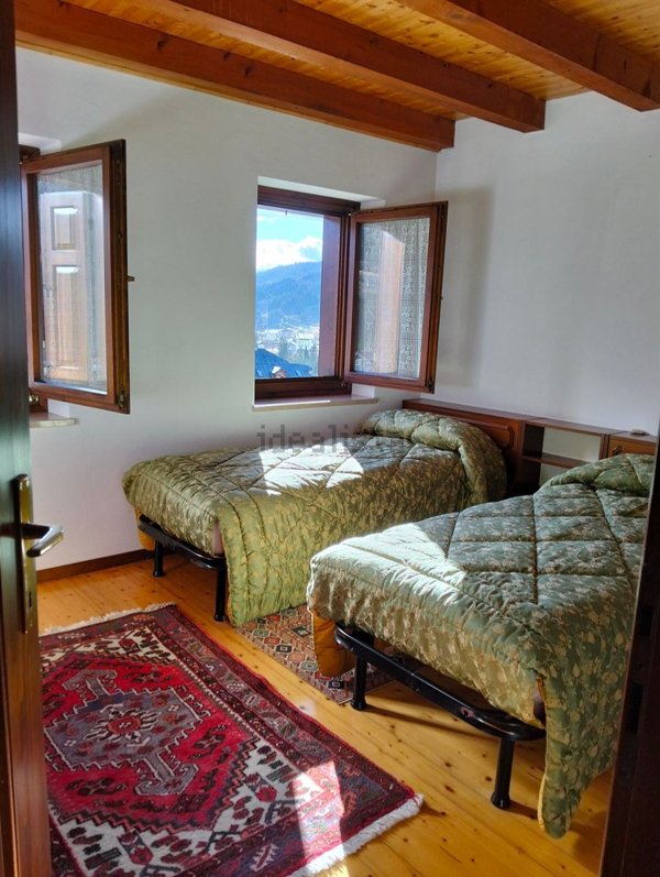 appartamento in affitto a Vigo di Cadore