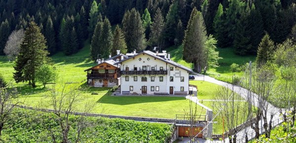 appartamento in affitto a Val di Zoldo in zona Pecol