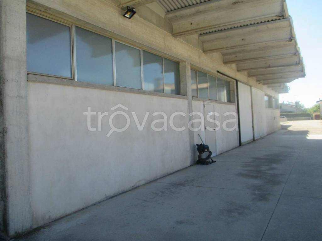locale commerciale in affitto ad Altivole in zona Caselle