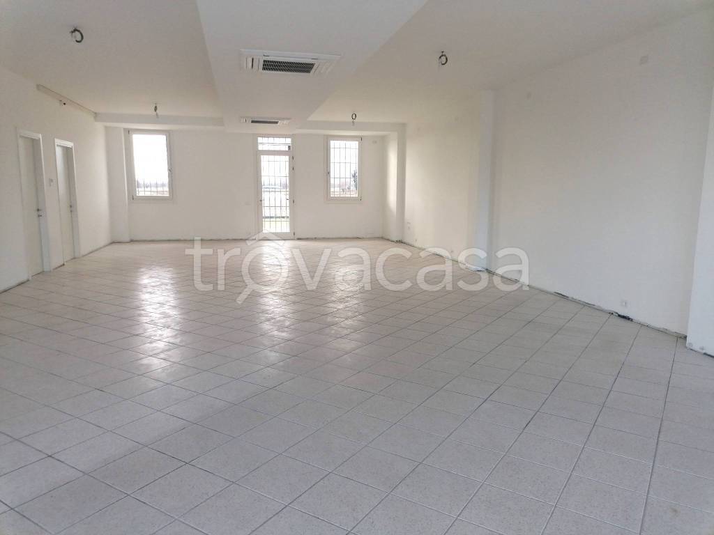 negozio in affitto ad Altivole