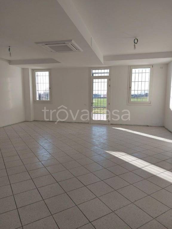 negozio in affitto ad Altivole