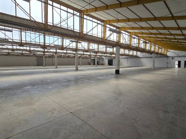 locale commerciale in affitto ad Altivole