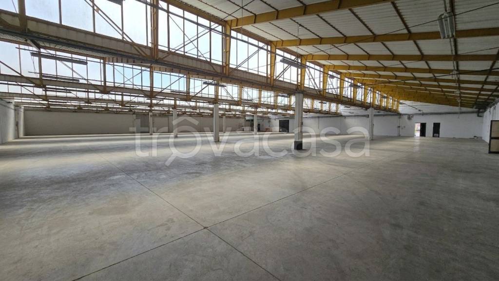 locale commerciale in affitto ad Altivole
