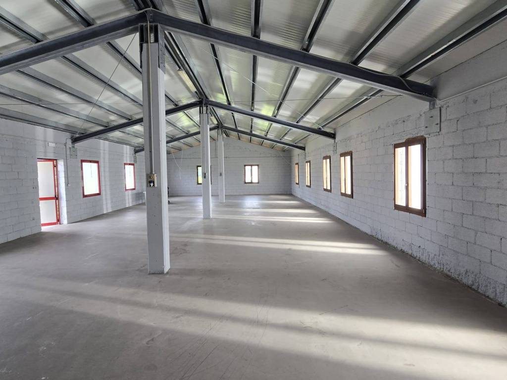 locale commerciale in affitto ad Altivole