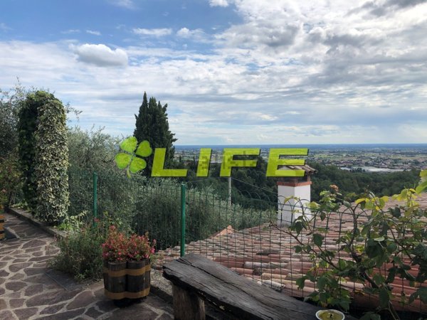 appartamento in affitto ad Asolo